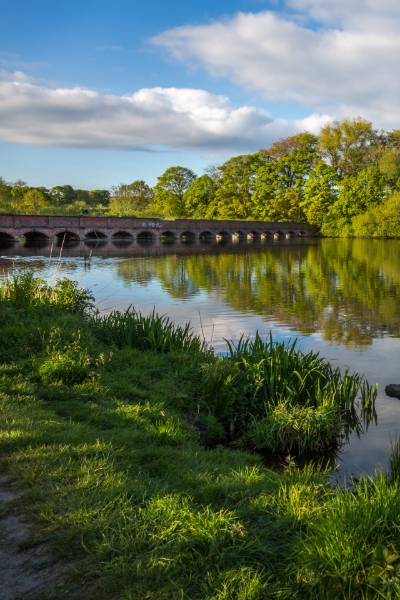 river with a bridge in the distance
